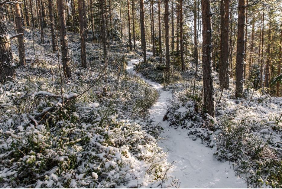 Suunnittelu Maastoreitin vaarojen tunnistaminen Maastoreittien vaaranpaikkoja ovat esim.