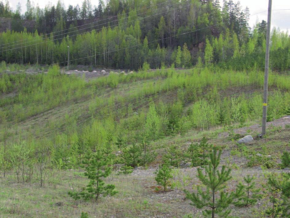 30 RENKOMÄEN MAA-AINESALUEEN