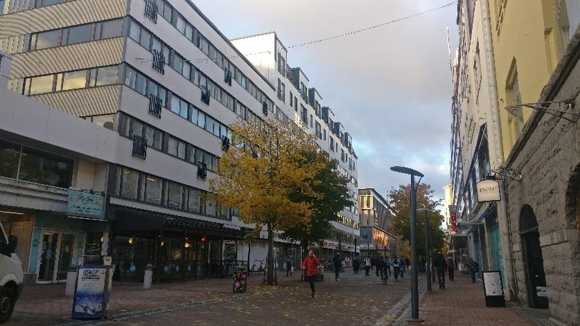 Kaupungin asuntorakentamisesta suurin osa toteutetaan täydennysrakentamisena