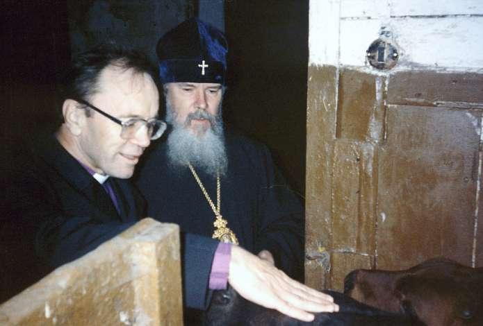 Luomisen