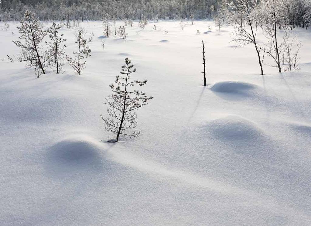 Kurranjärven suo, Liminka.