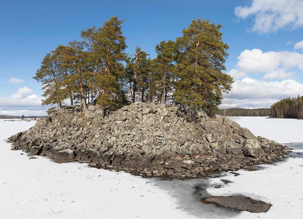 Kalliosaari, Joutsa.
