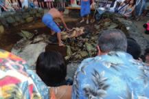 Kalaherkkuja Havaijillaaijilla Viimevuotisesta Havaijin matkastani jäi monta hyvää muistoa.