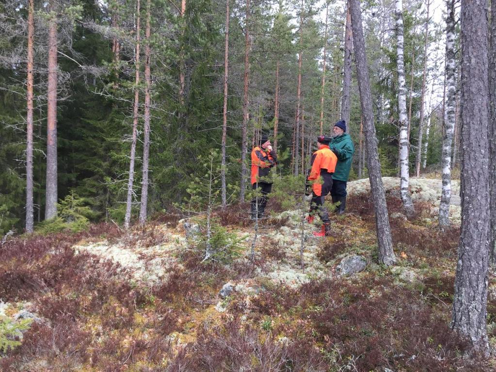 Kallioalueen yläosa, mikä
