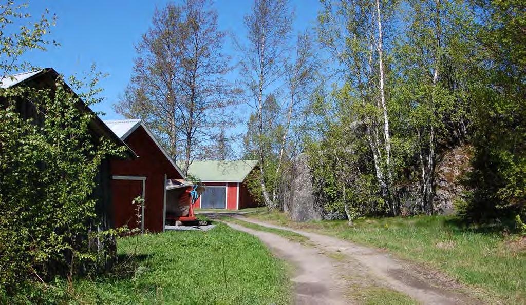 Näkymä