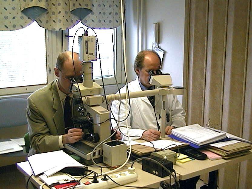Preparaattien tarkastelua