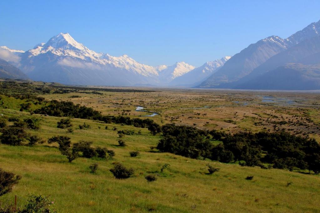 ja ja niiden pesiä. Maanteiden varsilla olemme nähneet joitakin kettukusuja tieliikenteen uhreina. Niitäkin enemmän on ollut kanin raatoja. Tasman-joen kaunista maisemaa, taustalla Mount Cook l.