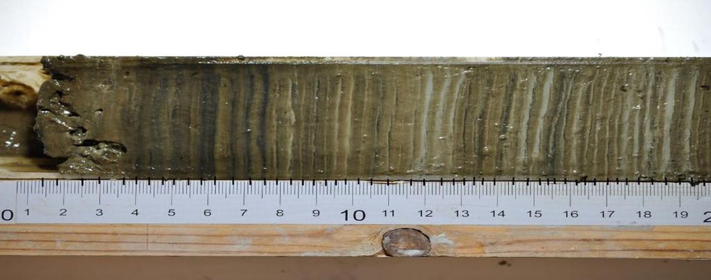 18 Kuva 12. Peräjärven kairasedimenttinäyte. Kuvaan merkitty lustot. Lustojen mukaan vuosi 1986 osuu sedimenttisyvyydelle 8,5 cm ja 1960-luvun alku syvyydelle 12,5 cm.
