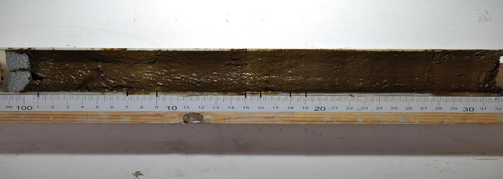 20 3.5 Kuutsjärvi, Värriö, Salla Kuutsjärvi on tutkituista järvistä ainoa, jossa ei ole vuosikerrallista lustoa (Kuva 15). Kuva 15. Kuutsjärven kairasedimenttinäyte.