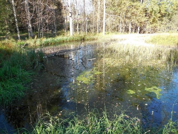Ruoppausta varten avattiin patoluukut ja laskettiin veden pintaa niin, että ruoppauksen pystyi suorittamaan lähes kuivatyönä.