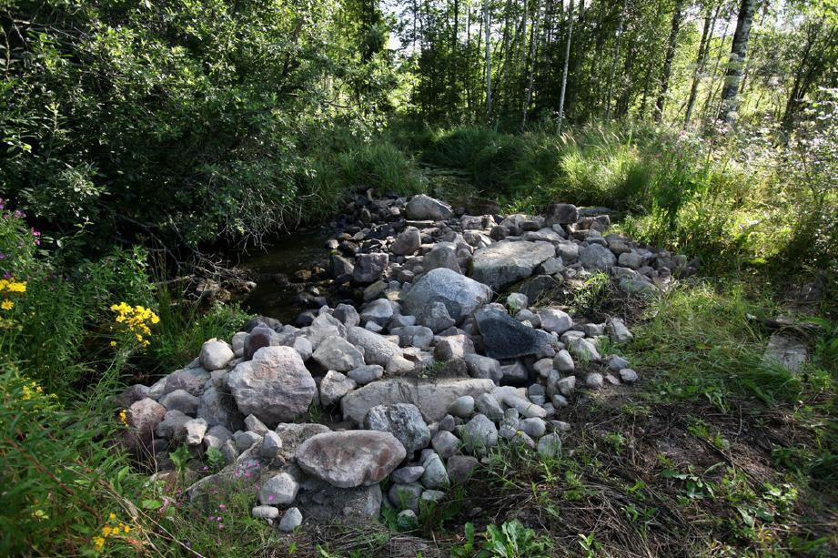 Kuva 23. Lapoonjoen alakoski ennen kunnostusta.