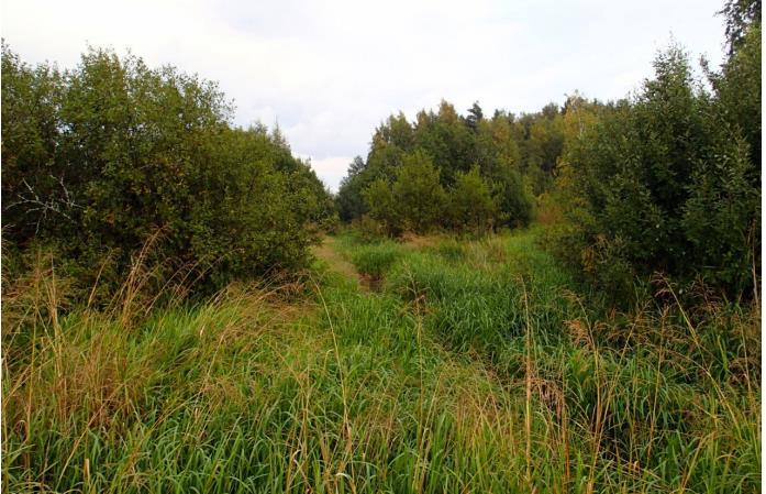 KuKuvat Kuva 2. Vasemmalla luhta-alue ennen kosteikon perustamista, oikealla vastavalmistuneet kaivutyöt.