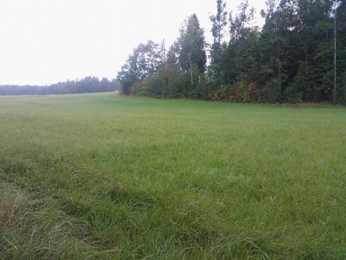 Kuva 4. Vasemmalla alue ennen kosteikon perustamista, oikealla vastavalmistuneet kaivutyöt.