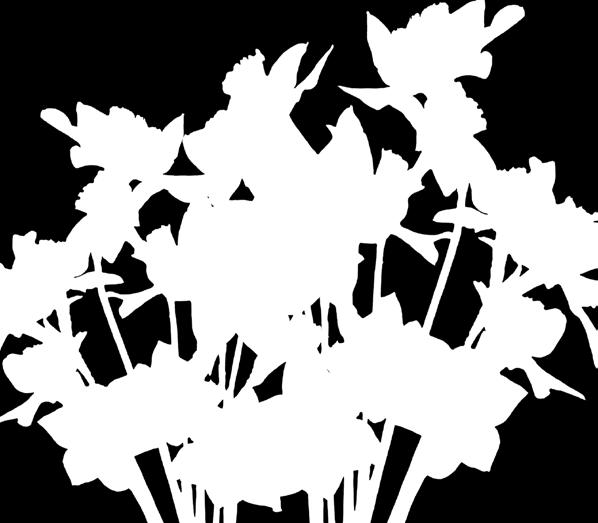fi/kuntatiedotteet SISÄLLYSLUETTELO 4/2018 At infopankki you will
