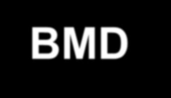 BMD Dmab 10 v