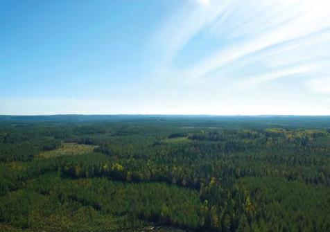 Jätehuolto Kuljetukset Mökkivuokraus Lapaskankaan Jäteasema Sepäntie 0, Kangasniemi