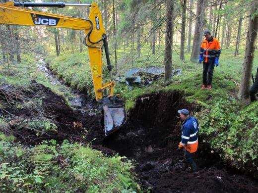 vesitalouden ennallistaminen Lehdot metsänhakkuu lehtokasveja suosien Paahderinne voimakkaat hakkuut