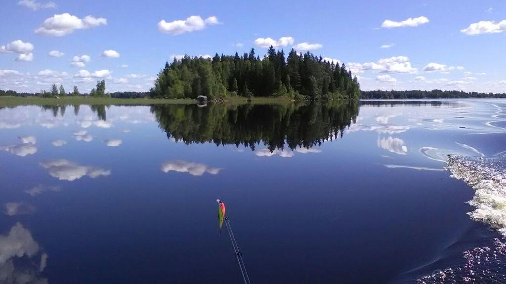 YMPÄRISTÖ- JA