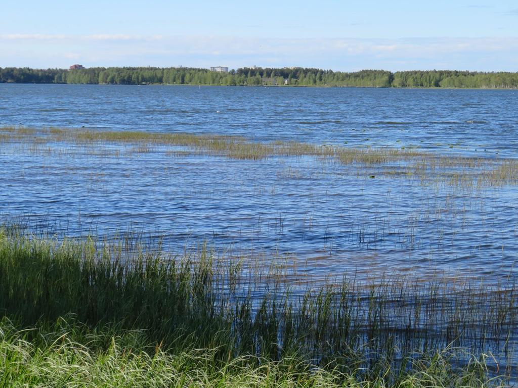 Pyykösjärvi - vedenlaatu Syksy 2017 - talvi - kevät 2018 syksyllä happitilanne hyvä vesi kirkasta, väriarvo alhainen, ravinnepitoisuudet alhaisia happitilanne heikkeni talven mittaan, alhaisimmillaan