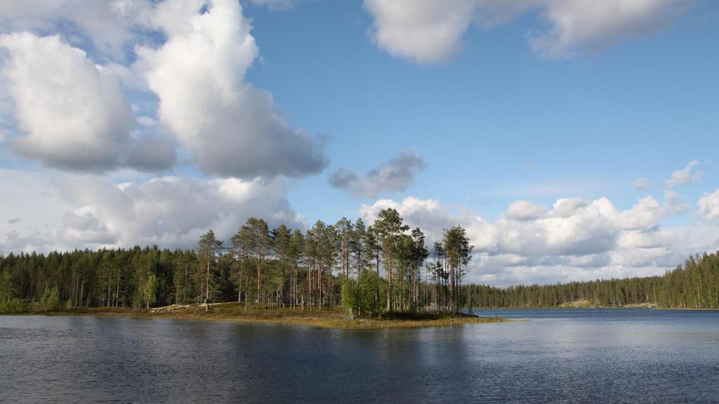 Kiitos! Lisätietoa: Rossi P.M., Ala-aho P., Doherty J. & Kløve B. 2014. Impact of peatland drainage and restoration on esker groundwater resources: modeling future scenarios for management.