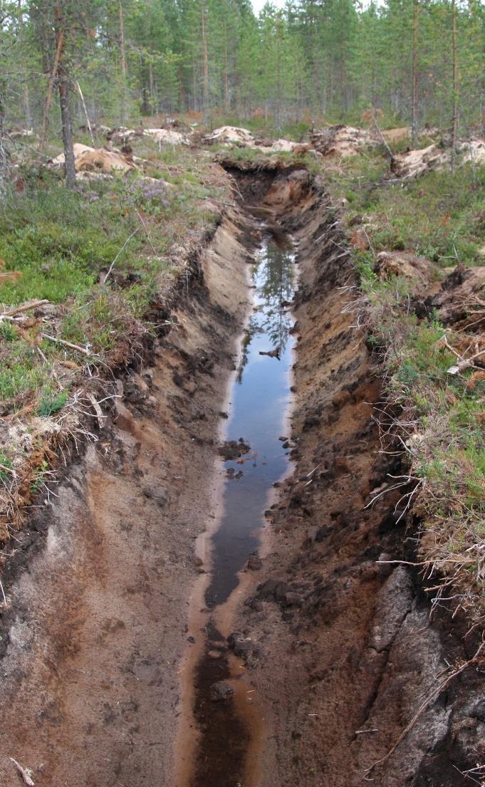 Ojitukset ja pohjavesialueet Suomessa on pohjavesialueilla ja niiden läheisyydessä huomattavia määriä metsäojituksia Mikä on ojitusten vaikutus pohjavesivarastoihin?