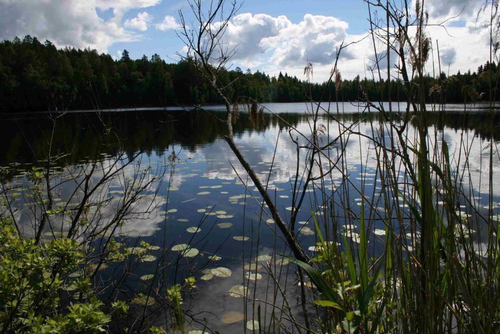 S U U N N T T E U JA T EK N K K A TAMPEREEN KAUPUNK, VUORES-PROJEKT SOKUUS