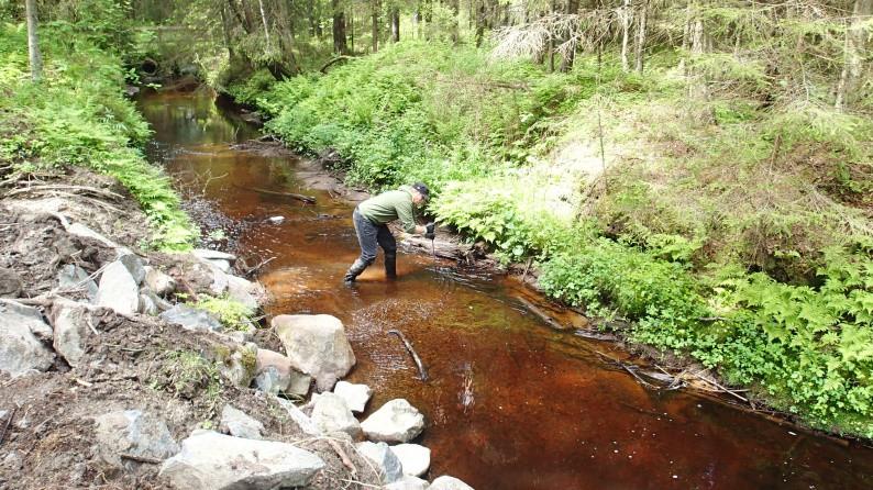 8 Kiviaineksen lisäys: Kiviainesta on lisätty tarkempien kunnostussuunnitelmien mukaisesti koko kunnostusalueen pituudelle, paikkoihin josta isokokoista kiviainesta on puuttunut.