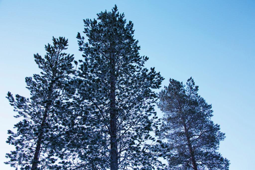 Huolehdithan, että Mökkikansio ja huoneentaulu ovat ajan tasalla ja helposti saatavilla.