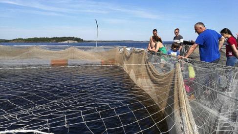Kala-Ranta on alunperin ollut maalla sijaitseva kalanpoikasten kasvatuslaitos, mutta viime vuosina toiminta