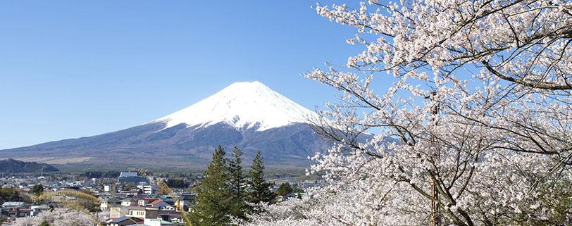 NOUSEVAN AURINGON MAA - JAPANI 19.-28.3. JA 31.3.-9.4.
