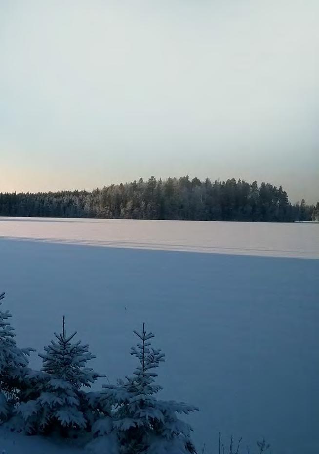 UVPS TÄHTISADEKARNEVAALIT Kohderyhmä: Nuoret ja aikuiset Ajankohta: 30.12.19-3.1.2020, 5 pv Musisoimme talvisen maiseman ympäröimänä tutussa kartanossa.