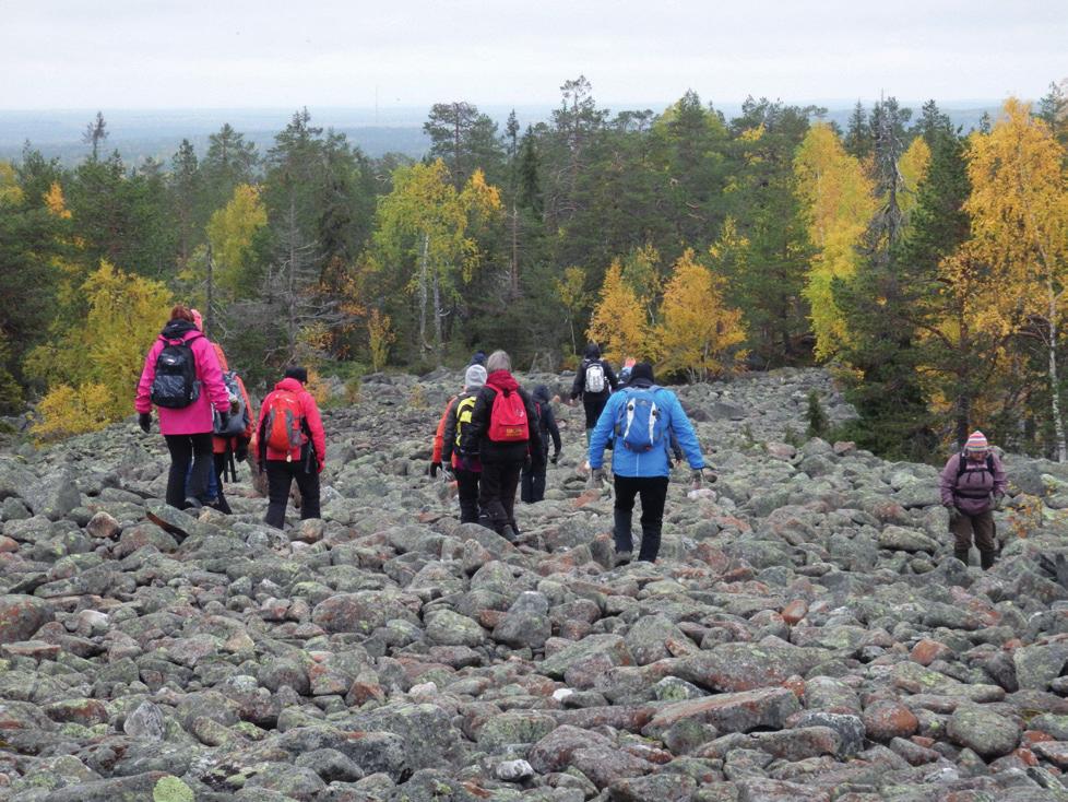 Työsuojelutoimintaa ovat työpaikkatarkastukset, työsuojelukoulutus, tiedottaminen, työkykyä ylläpitävän toiminnan kehittäminen, henkilöstön jaksamisen tukeminen, vaara- ja uhkatilanteiden minimointi