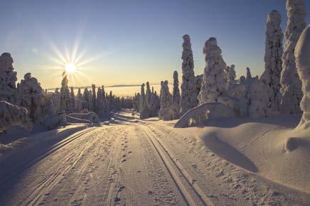 Puheenjohtajan palsta Uuden puheenjohtajan Tomaksen terveiset Pääkirjoitus Taas alkaa vuosi olla paketissa. Vuoteeni on mahtunut omalla osallani kaikenlaista.