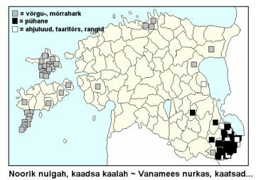 Jutt on rikkast mehest ja see on nähtavasti ajendanud pakkuma lahenditeks mitmesuguseid erinevaid asju, mis on sobinud jõukuse atribuutideks ja on ühtlasi