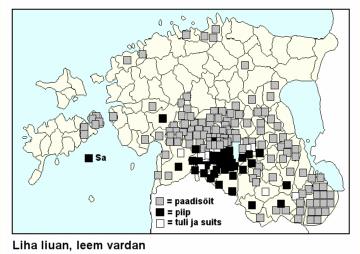 6. Mõistatuse lahend võib olla ebamäärase või laia tähendusega: 6.1.