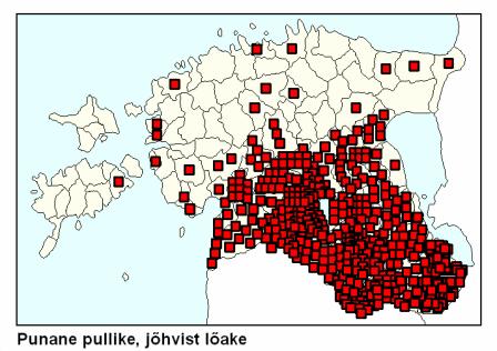 nichts sagende bloße Alitteration) otsa saap, munnep (Räthsel vom Hopfen) (lk. 184/5). Kohhe ei woi innimenne omma jallaga minna? Hauda (lk. 111). Kunningas istup (od. astub?