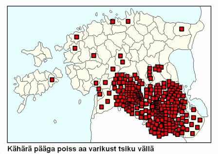 Nelli neitsi kussewa ütte potti sisse (Räthsel) die Stricknadeln (lk. 265). Tuhhat hobbost teel; ei karust ei hainust murret; siski ussina käügil. Räthsel: die Schneeflocken im Winde. Bw. j. (lk. 635).