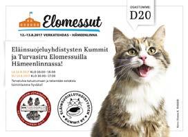 kuusi tapahtumaa eläinten hyväksi: Kissojen ja koirien sirutuskampanja yhteistyössä Sopulitien eläinlääkäriaseman kanssa maaliskuussa. Kampanjan aikana sirutettiin yhteensä 94 kissaa ja 25.3.