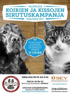 Kalenterissa oli eläinkuvien lisäksi tietoa yhdistyksistä, SEYstä, eläinsuojelusta, luonnonvaraisten eläinten auttamisesta, seniorikissan hoidosta sekä kuvissa esiintyvien eläinlajien tarpeista ja