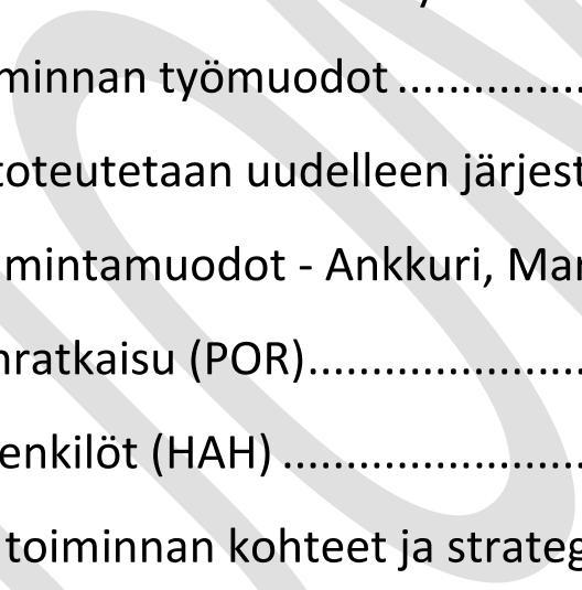 1 Toiminta on organisoitua, johdettua ja suunnitelmallista...8 3.