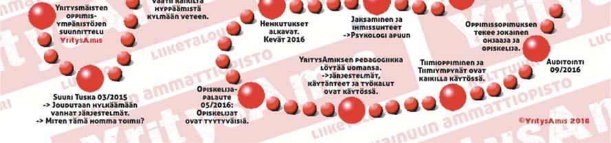 Hankkeen alussa mukana olivat kulttuuri-, luonto- ja liiketalousalat. Tavoitteena oli jalkauttaa hankkeen tulokset loppuvaiheessa koko organisaatioon.