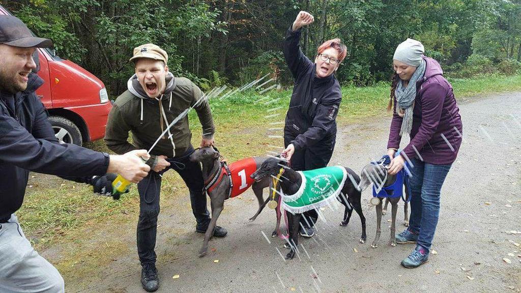 Vuoden 2017 OAKS-riemu ilahduttaa minua. Luovaa leikkiä ja iloa, ansaitsee päästä toistamiseen esiin.