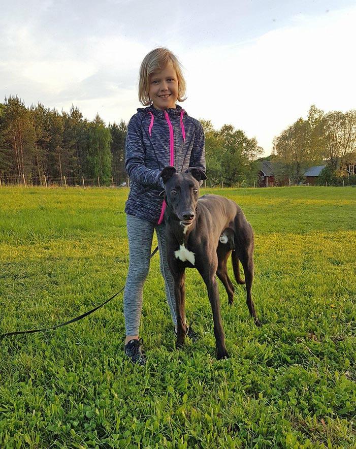 Terveisin Emma Nuori Niilo-grey Emman kanssa. Olen auttanut isää koirien juoksuttamisessa maneesissa ja pellolla. Olen ollut päästämässä koiria vieheen perään.