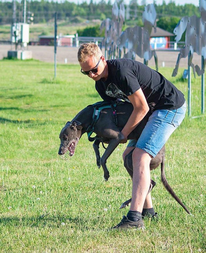 Onko vain niin, että myöhäinen kevät aiheutti hankaluuksia treenaamiselle ja koirat eivät vielä ole kunnossa. Vai onko syy jossakin muualla? Tätä joutuu jokainen TGK:n jäsen pohtimaan.