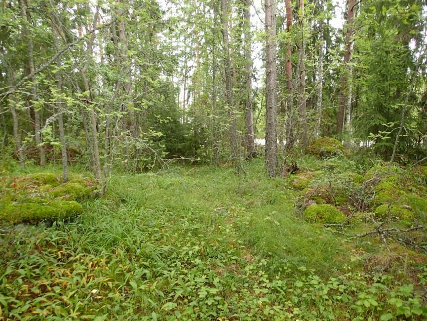 5 Käytöstä poistuneen, kivikkoon raivatun tilustien