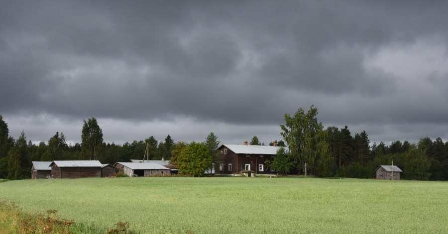 Iisveden ja Miekkaveden rantaosayleiskaava-alueen rakennuskulttuuri-inventointi 13.11.