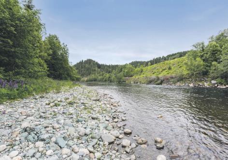 Maksimi kalastajamäärä koko alueella on 6 henkilöä. Kanalhölen alue sisältää 3 hienoa ja tuottoisaa poolia: Stasjonshölen, Kanalhölen ja Skolehölen poolit.