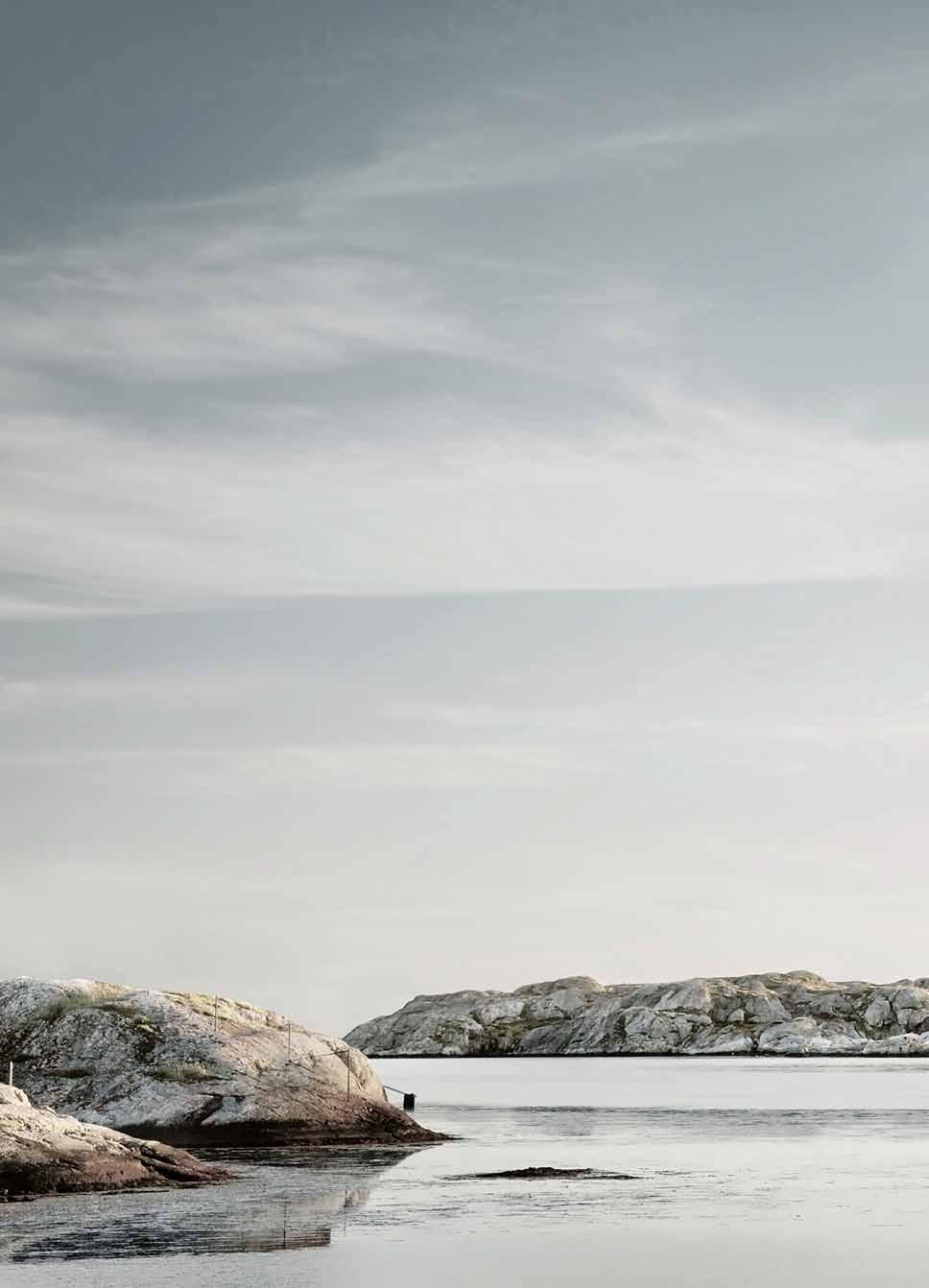 Inspired by Scandinavia ASKOn tarina alkaa vuonna 1950 Varassa, Ruotsissa, kekseliään nuoren miehen toivomuksesta rakentaa äidilleen pesukone, joka auttaisi häntä jokapäiväisissä askareissaan.