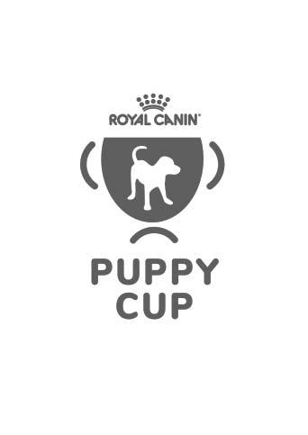 KENNELLIITTO JÄRJESTÄÄ ROYAL CANIN PUPPY CUP -PENTUNÄYTTELYIDEN SARJAN. Jokaisessa Royal Canin Puppy Cup -näyttelyssä kilpaillaan kahdessa arvosteluluokassa.