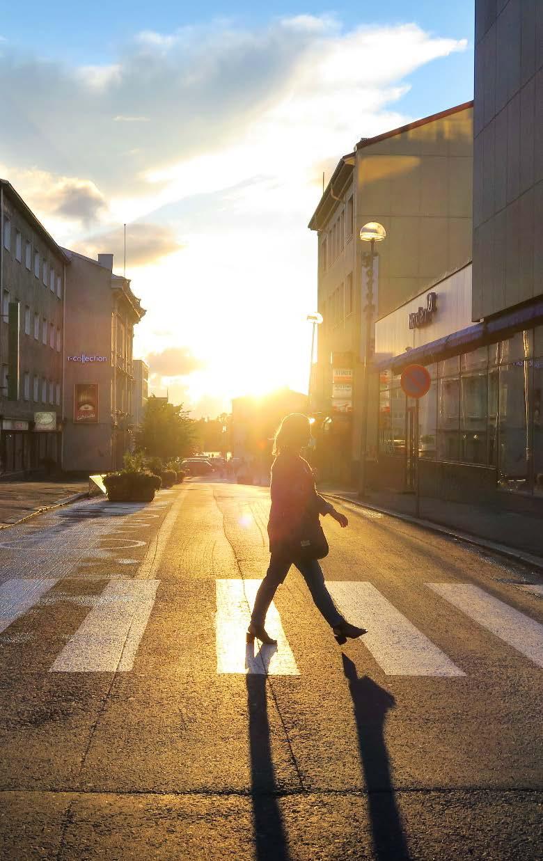BUSINESS OULU Toimintaympäristön nostot vuodelle 2019